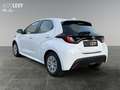 Toyota Yaris 1.5 Business Edition ACC AUT Fernlichtass. Alb - thumbnail 4