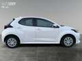 Toyota Yaris 1.5 Business Edition ACC AUT Fernlichtass. Alb - thumbnail 7