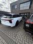 Hongqi E-HS9 120 kWh President Long Range - thumbnail 2
