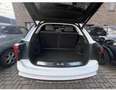 Hongqi E-HS9 120 kWh President Long Range - thumbnail 6