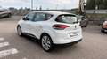 Renault Scenic Scénic Blue dCi 120 Limited Weiß - thumbnail 7