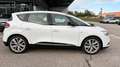 Renault Scenic Scénic Blue dCi 120 Limited Weiß - thumbnail 4