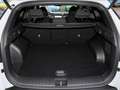 Hyundai TUCSON Plug-In Hybrid Blackline - Allrad-Panorama-Navi-Si Weiß - thumbnail 10