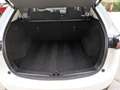 Mazda CX-5 2.0 SkyActiv-G 165 GT-M,Bose,ECC,1 jaar garantie Wit - thumbnail 14