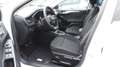 Ford Focus Turnier 1,0 EcoBoost Hybrid Titanium Edition mHEV Weiß - thumbnail 13