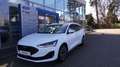 Ford Focus Turnier 1,0 EcoBoost Hybrid Titanium Edition mHEV Weiß - thumbnail 1