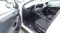 Ford Focus Turnier 1,0 EcoBoost Hybrid Titanium Edition mHEV Weiß - thumbnail 12