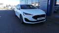 Ford Focus Turnier 1,0 EcoBoost Hybrid Titanium Edition mHEV Weiß - thumbnail 1