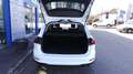 Ford Focus Turnier 1,0 EcoBoost Hybrid Titanium Edition mHEV Weiß - thumbnail 7