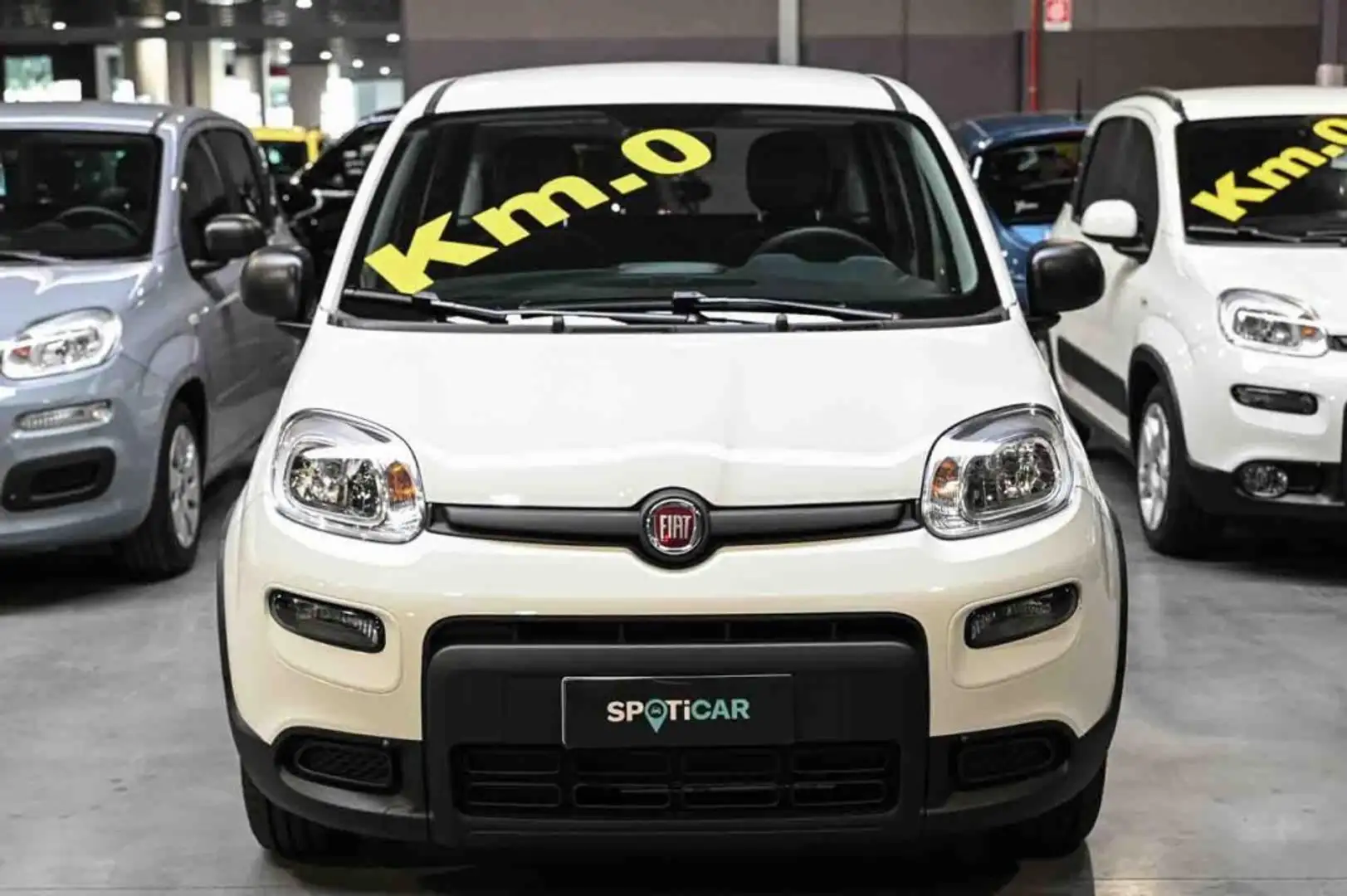 Fiat Panda 1.0 Hybrid 70cv MY24 Bianco - 2