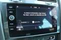 Volkswagen Golf Variant 2.0TDI Advance DSG7 Gris - thumbnail 13