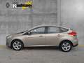 Ford Focus Trend 1.0 EcoBoost Grau - thumbnail 3