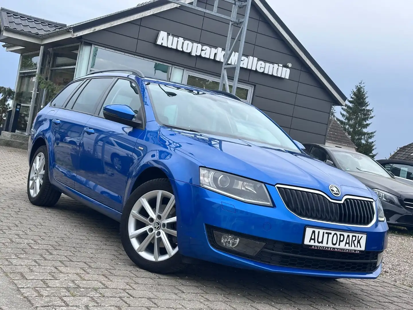 Skoda Octavia Combi Joy *NAVI*Bi-XENON* Bleu - 1