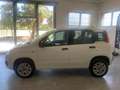 Fiat Panda Panda 0.9 t.air t.natural power Easy 70cv Blanc - thumbnail 5