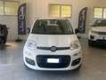 Fiat Panda Panda 0.9 t.air t.natural power Easy 70cv Blanc - thumbnail 2