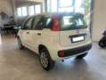 Fiat Panda Panda 0.9 t.air t.natural power Easy 70cv Blanc - thumbnail 8