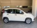 Fiat Panda Panda 0.9 t.air t.natural power Easy 70cv Blanc - thumbnail 4
