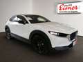 Mazda CX-30 G140 AT HOMURA PREISHIT Weiß - thumbnail 14
