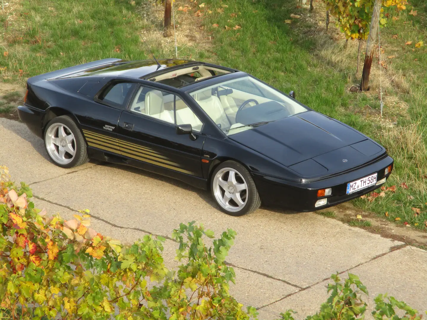 Lotus Esprit Esprit Turbo deutsch kein Kat Nero - 1