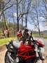 Ducati Monster 696 Roşu - thumbnail 8