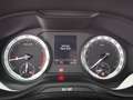 Skoda Karoq 1.5 TSI ACT Sportline Aut LED STANDHZG TEMP Grau - thumbnail 17