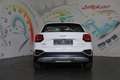 Audi Q2 30 TFSI admired *LED, ACC, RFK* Weiß - thumbnail 6