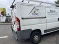 Peugeot Boxer HDi (330) im Kundenauftrag Weiß - thumbnail 11
