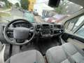 Peugeot Boxer HDi (330) im Kundenauftrag Weiß - thumbnail 6
