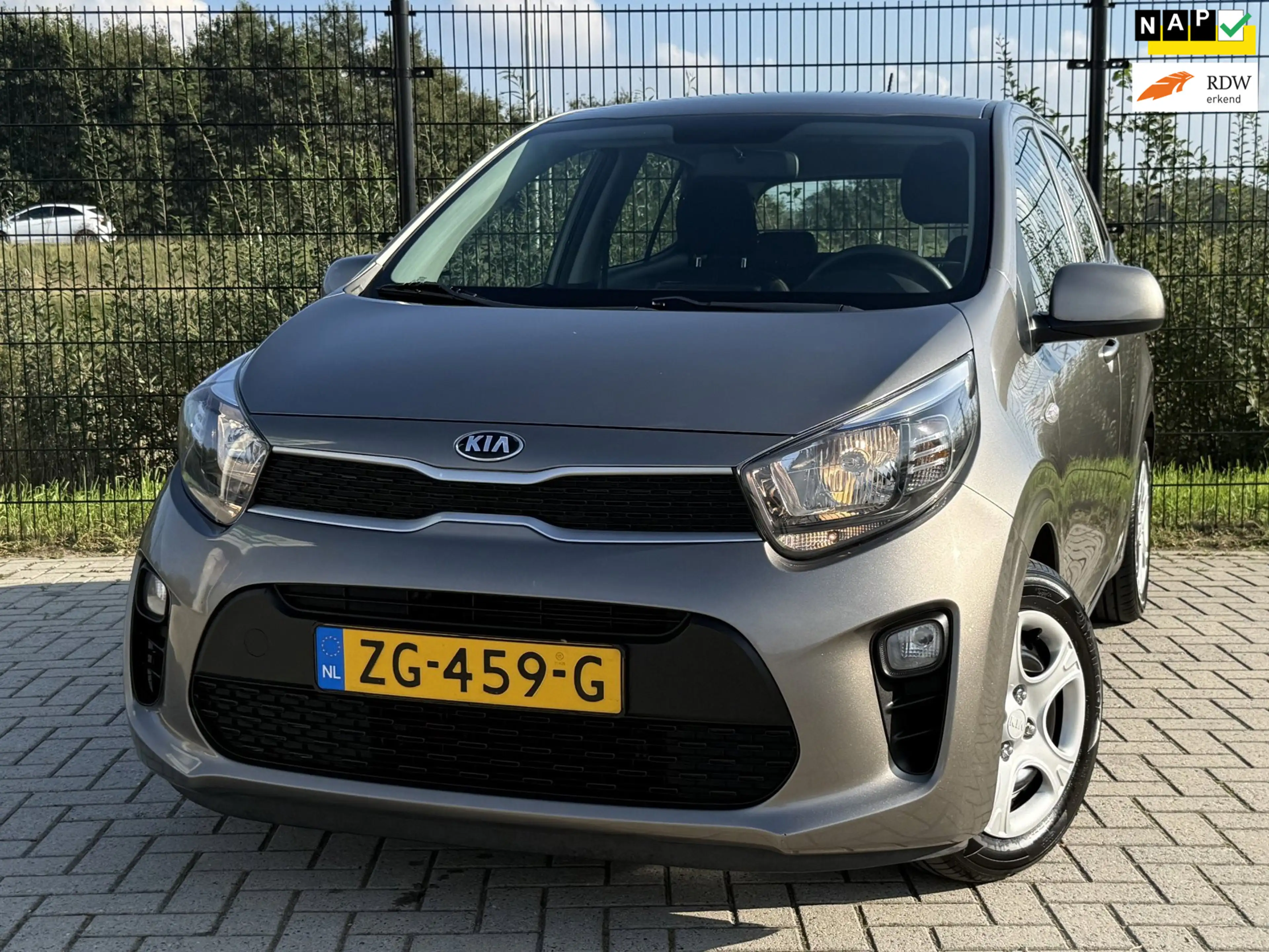 Kia Picanto 1.0 CVVT EconomyPlusLine | Bluetooth| Airco | Radi