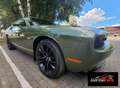 Dodge Challenger , 3,6 litros, sedán Groen - thumbnail 1