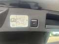 Ford Kuga ST-Line X 150 AHK Techno Winter Paket II Noir - thumbnail 7