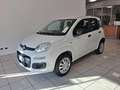 Fiat Panda 0.9 TwinAir Turbo Natural Power Easy Blanco - thumbnail 2