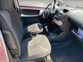 Peugeot 107 1.0 Envy Klimaanlage Fialová - thumbnail 14
