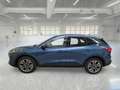 Ford Kuga 1.5 ECOBLUE 120 CV 2WD TITANIUM SUV - thumbnail 5