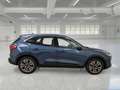 Ford Kuga 1.5 ECOBLUE 120 CV 2WD TITANIUM SUV - thumbnail 3