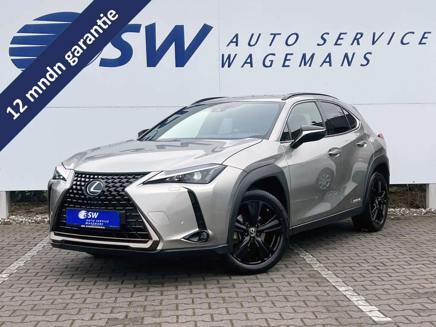 Lexus UX 250h Style+ Edition | Leder | Camera | Carplay | 18 inc Grijs - 1