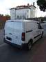 Citroen Berlingo Multispace 1.6 hdi Xtr c/esp 115cv Bianco - thumbnail 5