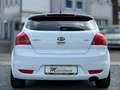 Kia Ceed / cee'd Ceed ProCeed Vision 1.6 CRDI KLIMA SHZ AUX Blanco - thumbnail 5