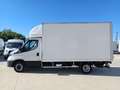 Iveco Daily Chasis Cabina 35S16 4100 160 Blanco - thumbnail 4