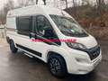 Malibu Van compact 540 DB Fiat 7 Jahre Garantie* Wit - thumbnail 3