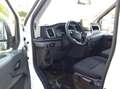 Ford Transit Pritsche DoKa 2,0 EcoBlue L2H1 350 Trend Weiß - thumbnail 9