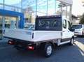 Ford Transit Pritsche DoKa 2,0 EcoBlue L2H1 350 Trend Weiß - thumbnail 5