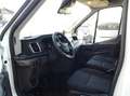Ford Transit Pritsche DoKa 2,0 EcoBlue L2H1 350 Trend Weiß - thumbnail 8