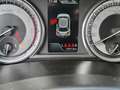 Suzuki Vitara 1.4 HUBRID 129 HP 4WD COOL NEOPATENTATI Grigio - thumbnail 14