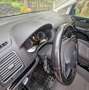 SEAT Alhambra Alhambra Business 2,0 TDI CR Business Schwarz - thumbnail 18