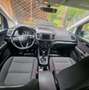 SEAT Alhambra Alhambra Business 2,0 TDI CR Business Schwarz - thumbnail 14