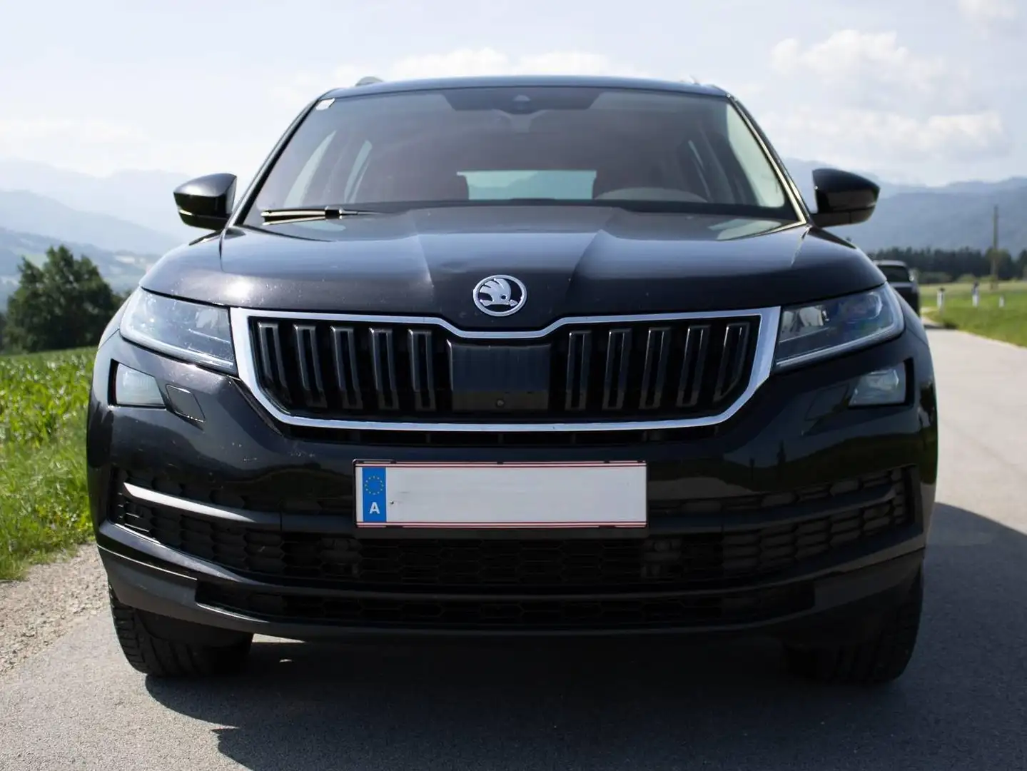 Skoda Kodiaq Kodiaq 2,0 TDI SCR 4x4 Style DSG Style Schwarz - 2