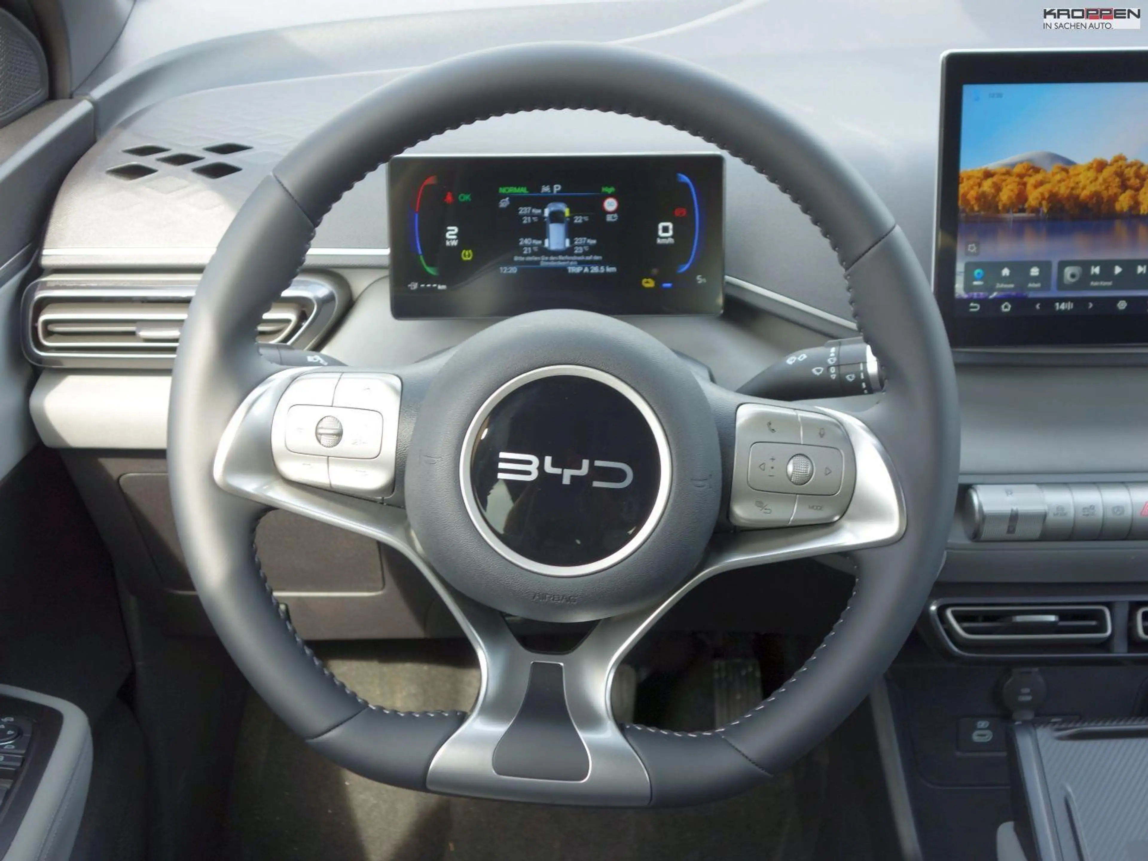 BYD Dolphin Surf Comfort 360 ° Kamera SHZ Carplay — photo 8