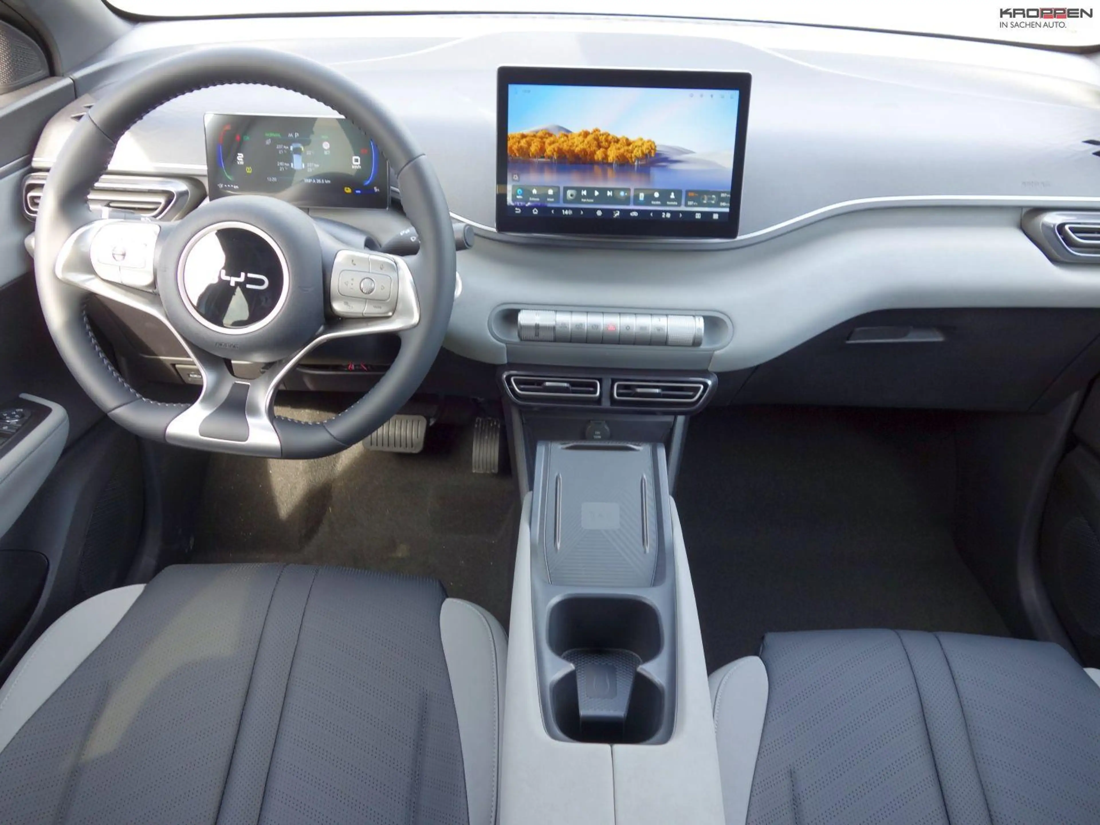 BYD Dolphin Surf Comfort 360 ° Kamera SHZ Carplay — photo 7