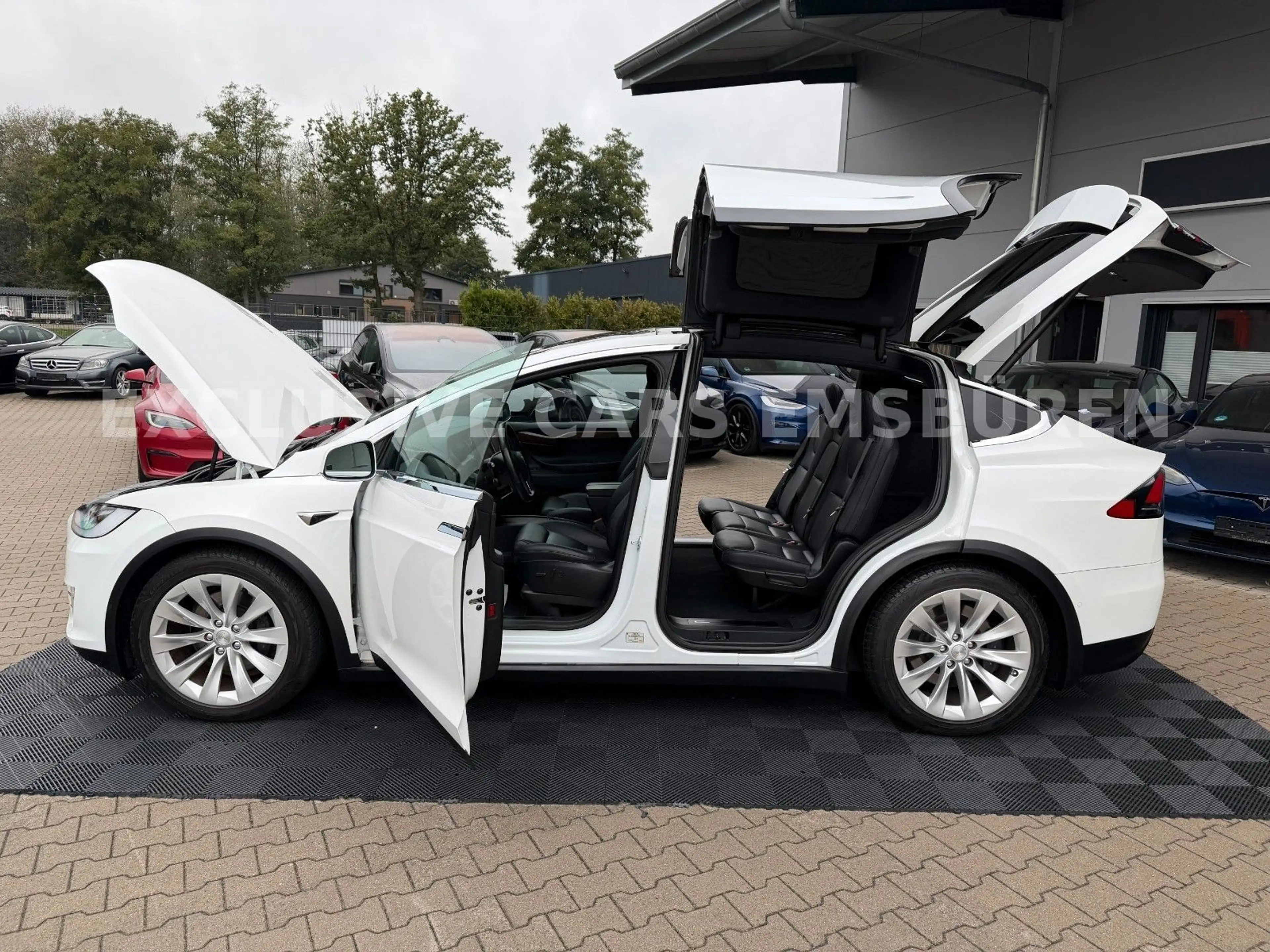 Tesla Model X MODEL X LONG RAVEN LONG RANGE DUAL MOTOR — photo 2